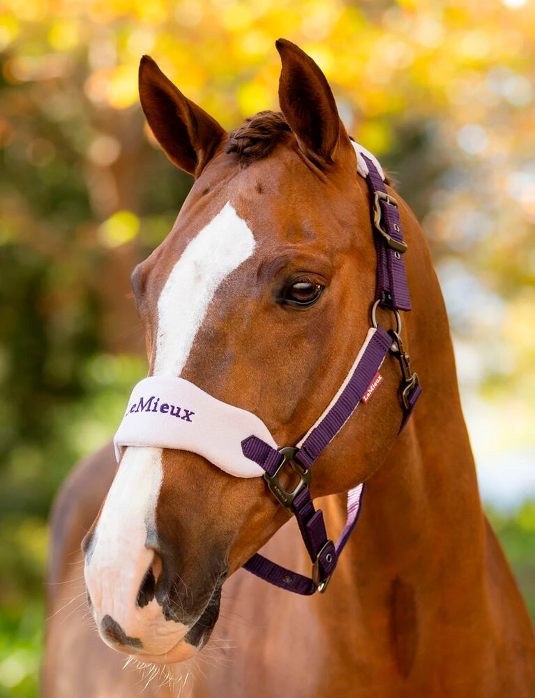 LEMIEUX Vogue Headcollar And Leadrope