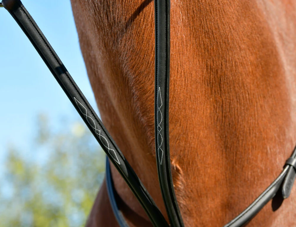 COLLEGIATE ComFiTec Opulux Fancy Raised Running Martingale