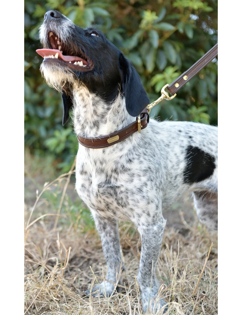 WEATHERBEETA Two Toned Leather Dog Collar