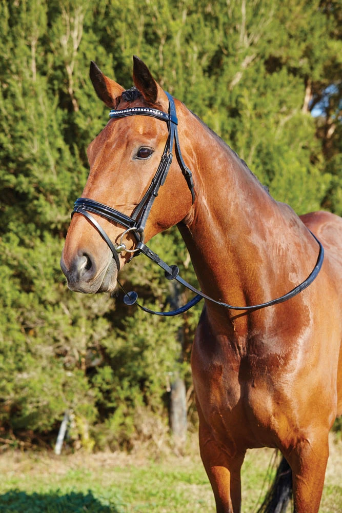 KINCADE Patent Crystal Crank Bridle