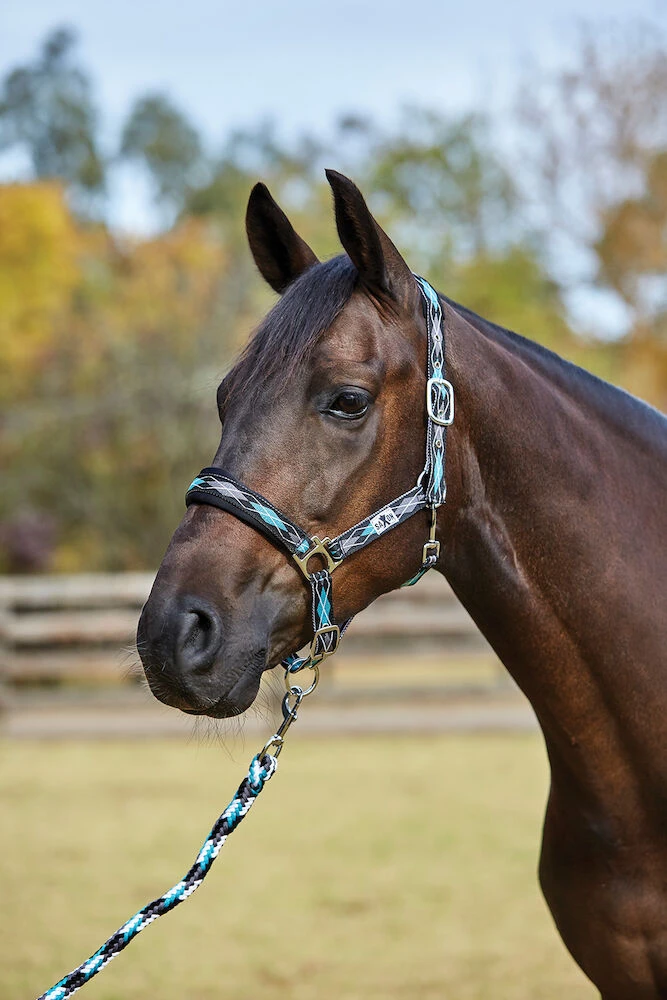 SAXON Padded Pattern Headcollar And Lead Set