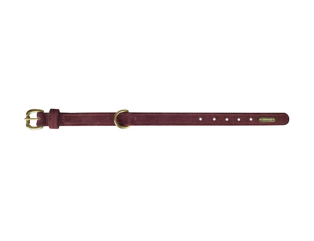 WEATHERBEETA Suede Dog Collar