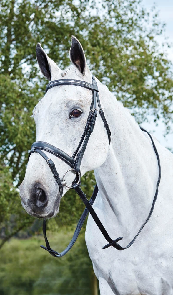 KINCADE Crank Piping Flash Bridle