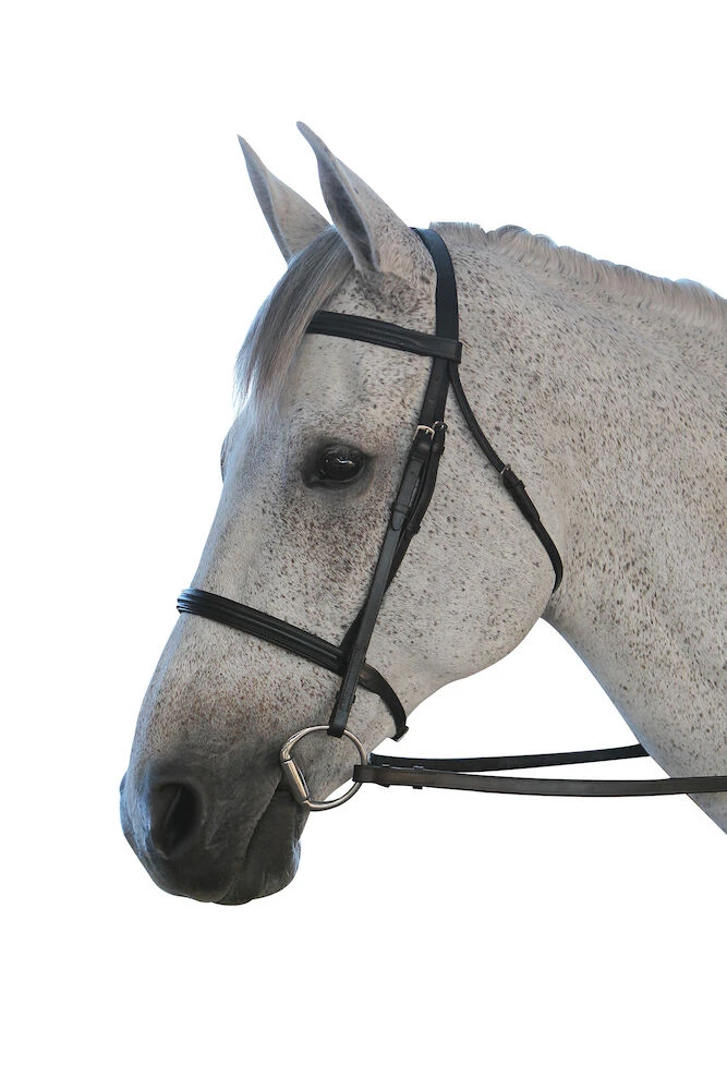 SADDLECRAFT Padded Cavesson II Bridle