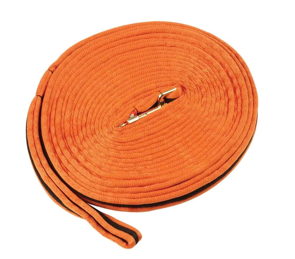 KINCADE Brights Two Tone Padded Lunging Rein