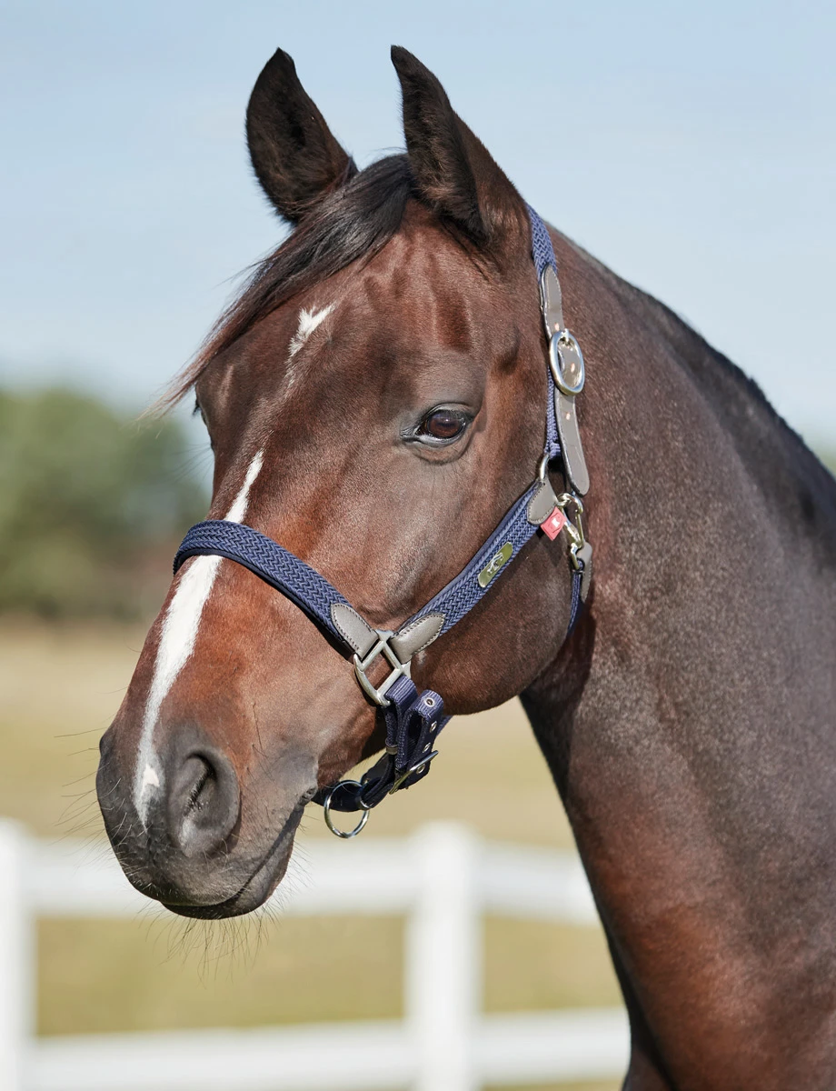 KINCADE Braided Headcollar