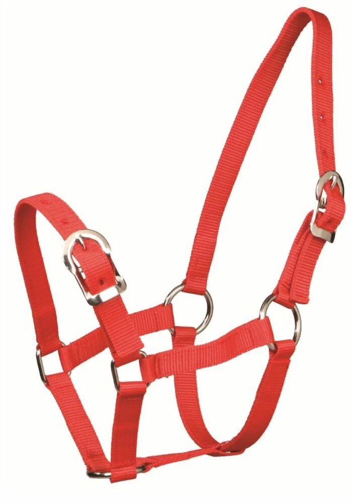 GYMKHANA Small Pony Halter