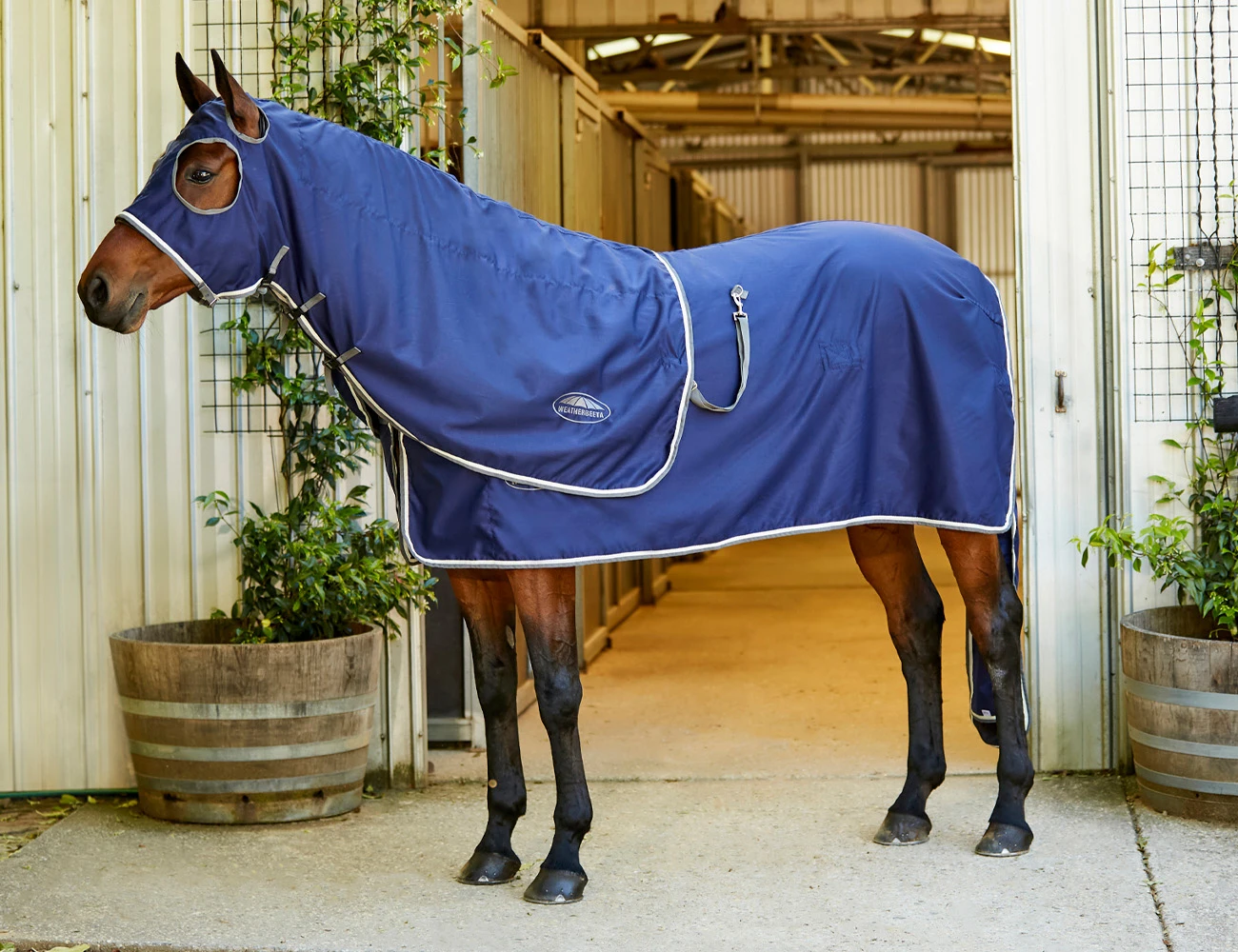 WEATHERBEETA Show Sheet Standard Neck