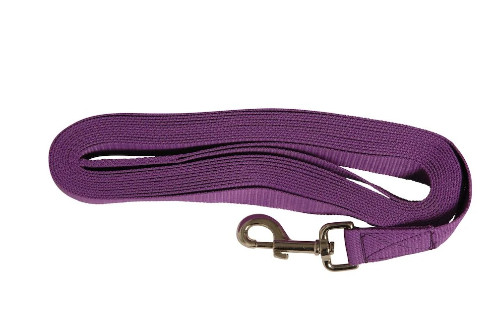 KINCADE Polypropylene Lunge Rein