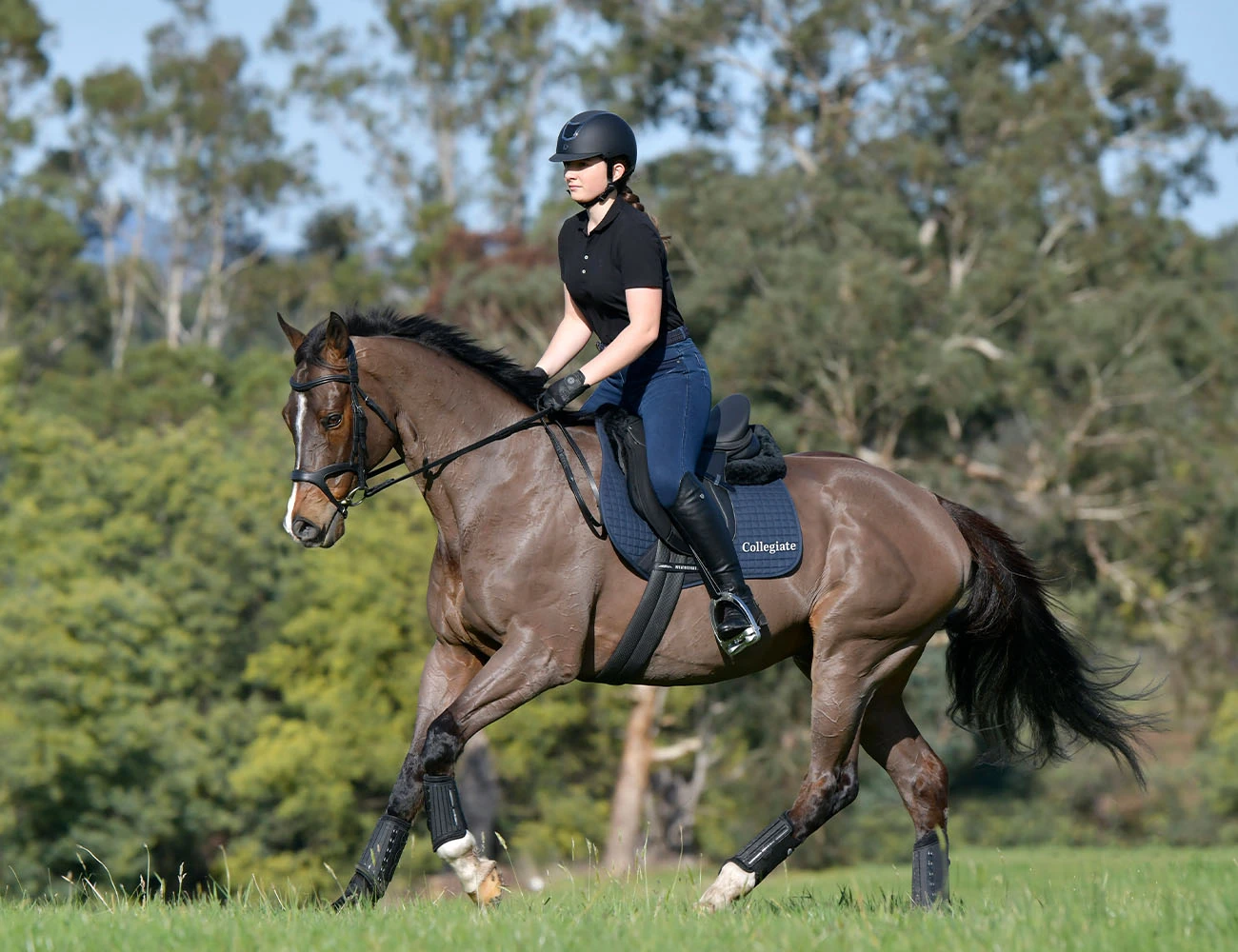 COLLEGIATE Syntovia+ Osberton All Purpose Saddle