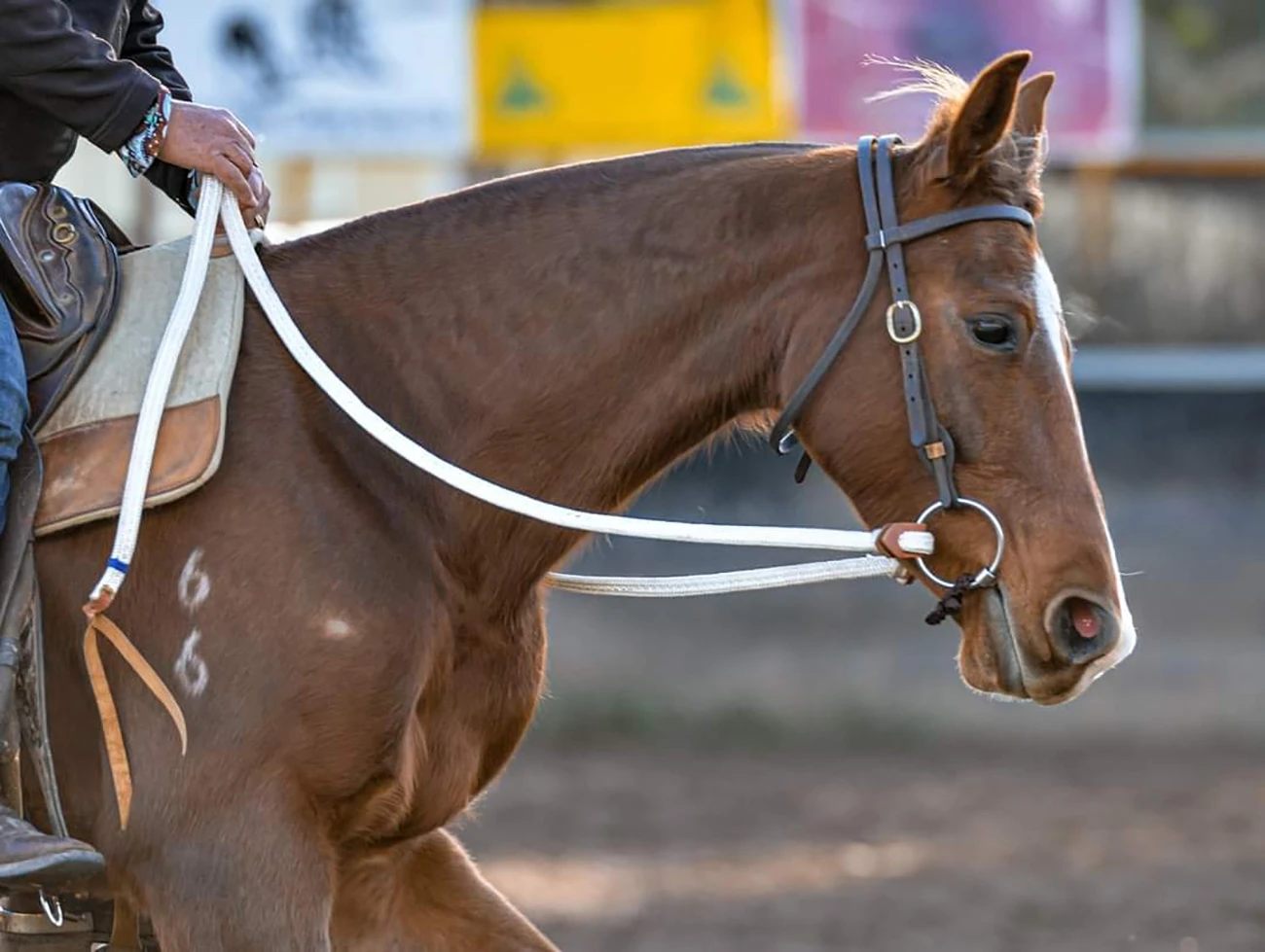 TOPRAIL EQUINE Toprail Flat Braided Split Campdraft Reins