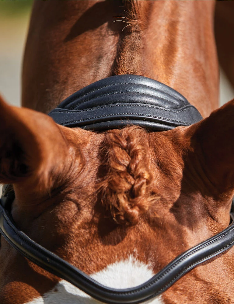 COLLEGIATE ComFiTec Grackle Bridle