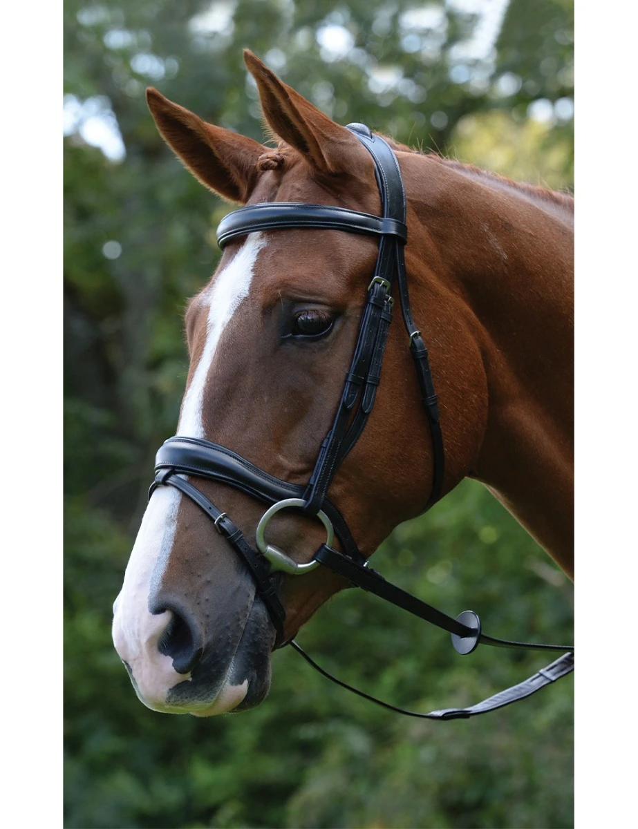 KINCADE Comfort Anatomical Flash Bridle