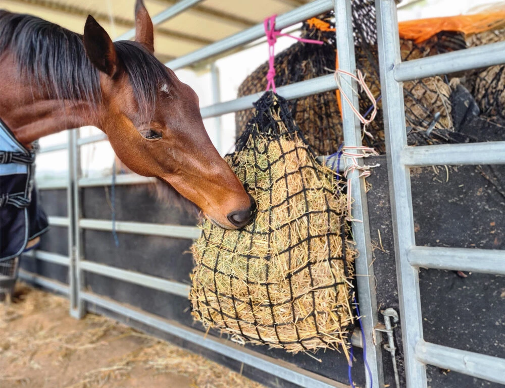 GUTZBUSTA Deluxe 5MM Knotless Slow Feed Hay Net