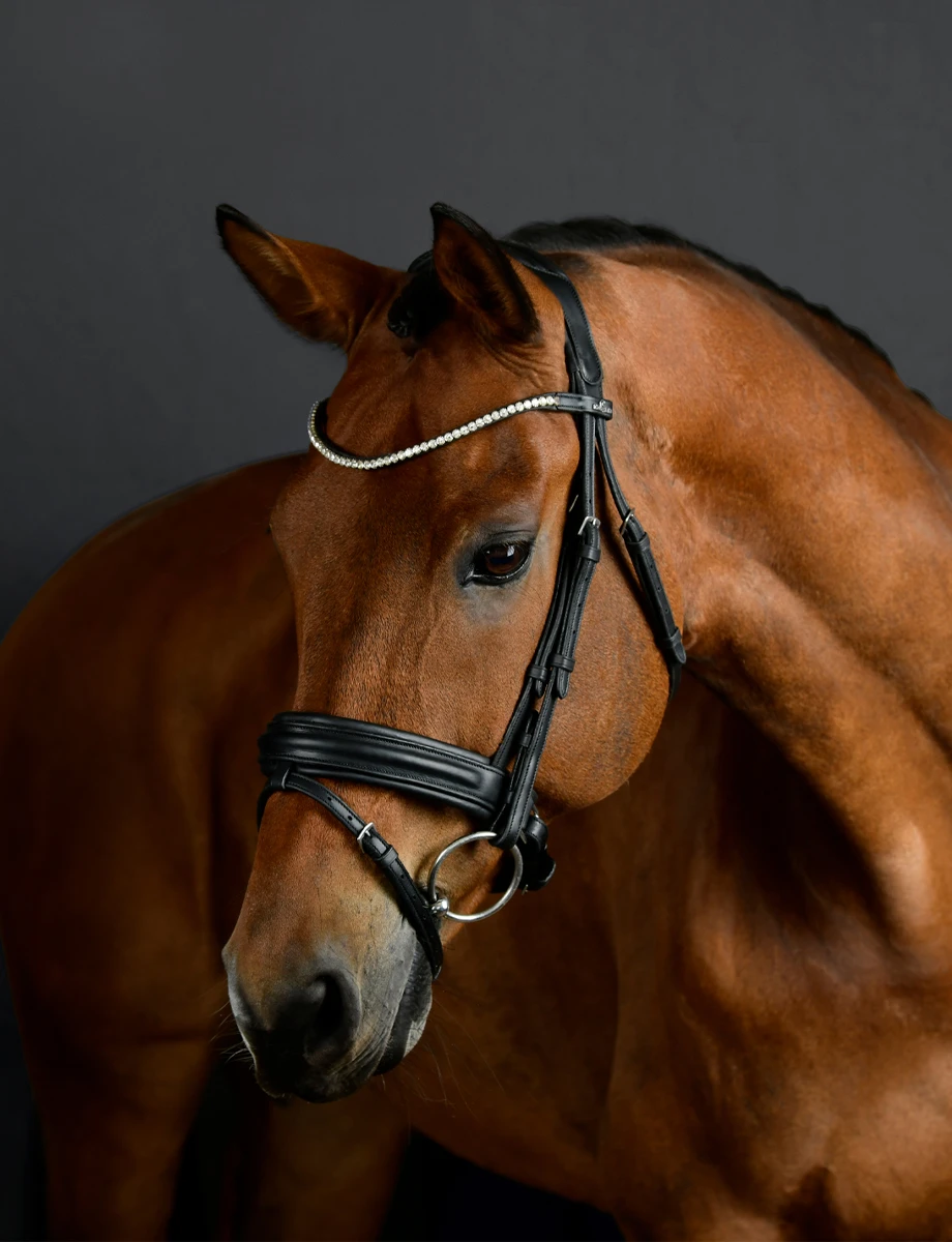 COLLEGIATE ComFiTec Opulux Raised Dressage Bridle
