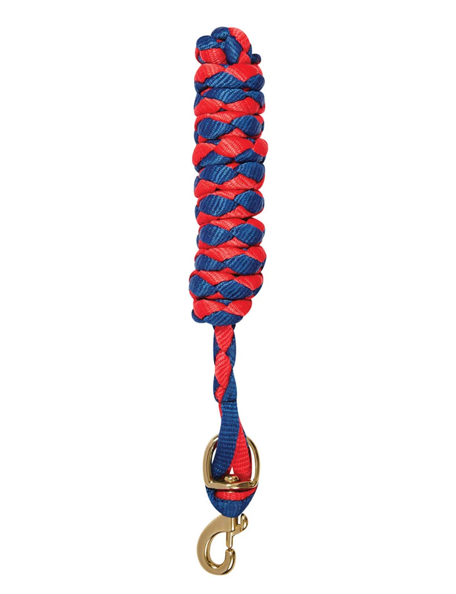 ROMA Multi Coloured Lead