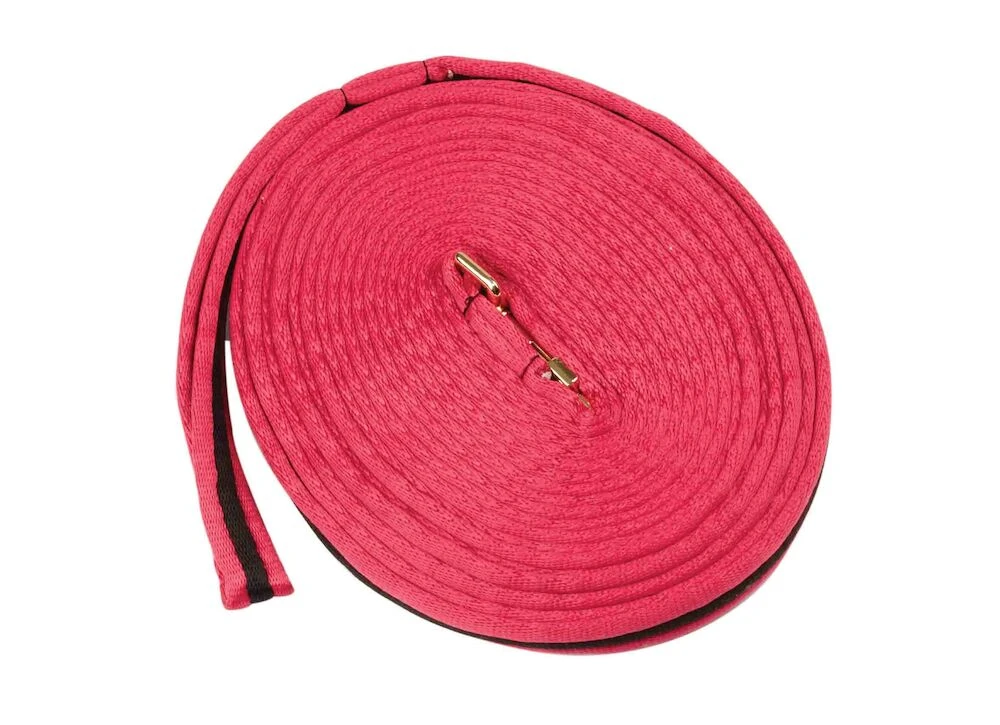 KINCADE Brights Two Tone Padded Lunging Rein