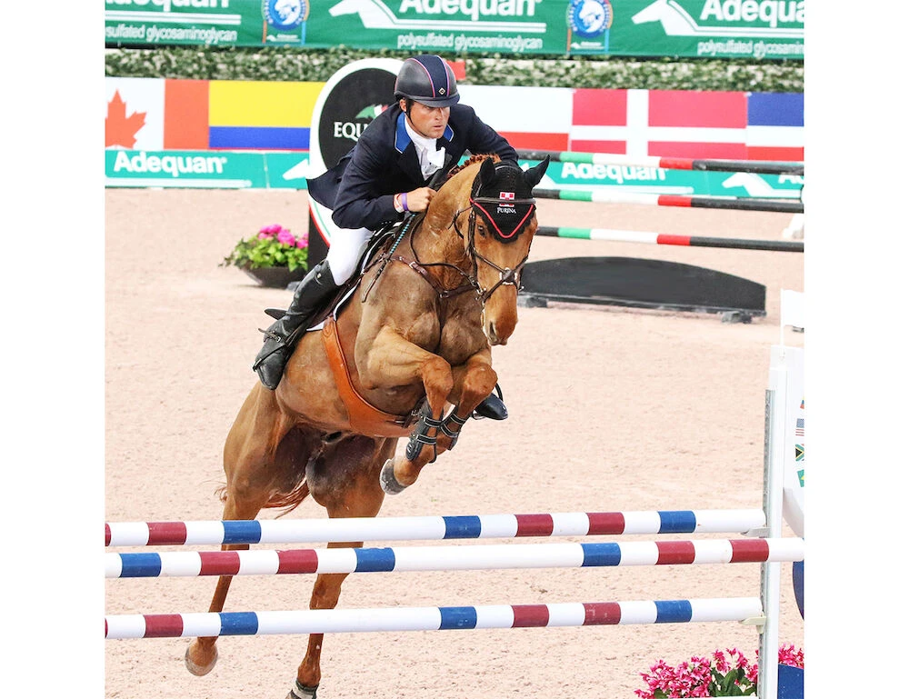 MAJYK EQUIPE Boyd Martin Hind Jump Boots