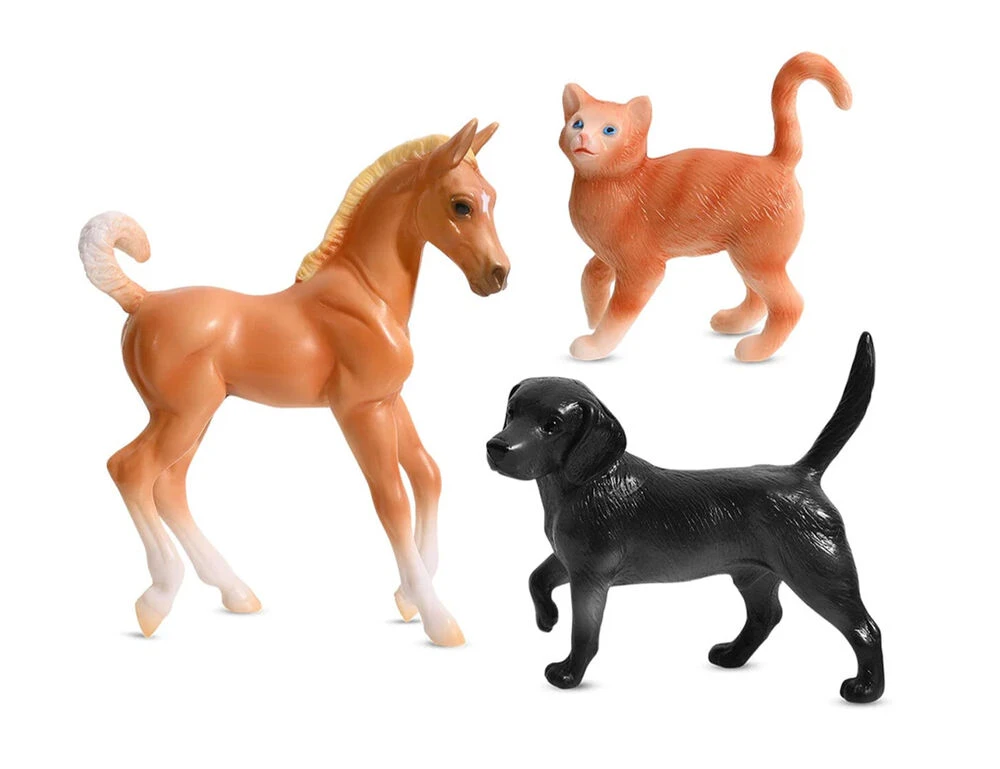 BREYER Freedom Mobile Rescue & Care Clinic