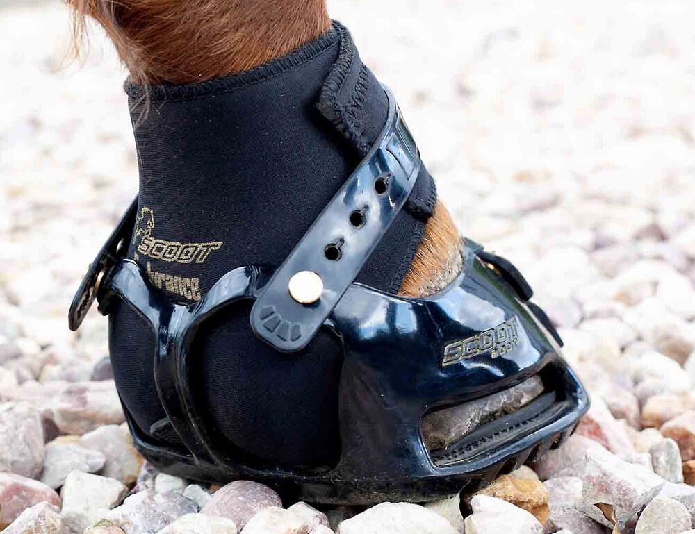 SCOOT BOOTS Scoot Boot Endurance Gaiter