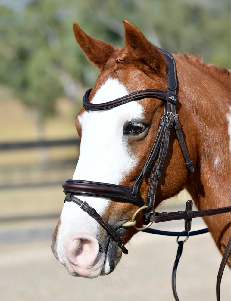 COLLEGIATE ComFiTec Opulux Plain Padded Hanoverian Flash Bridle