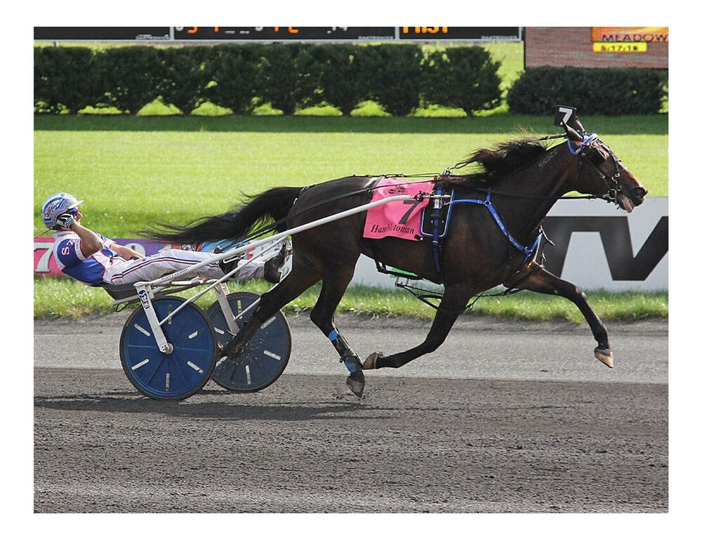 BREYER Traditional Atlanta- Standardbred Trotter