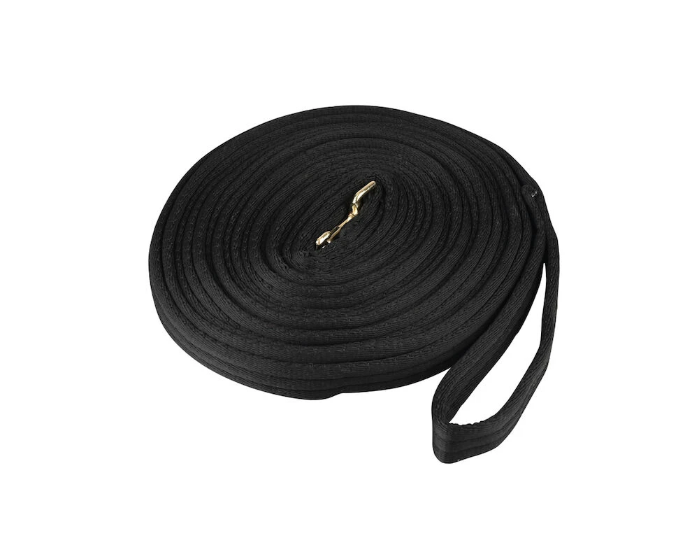 KINCADE Padded Lunging Rein