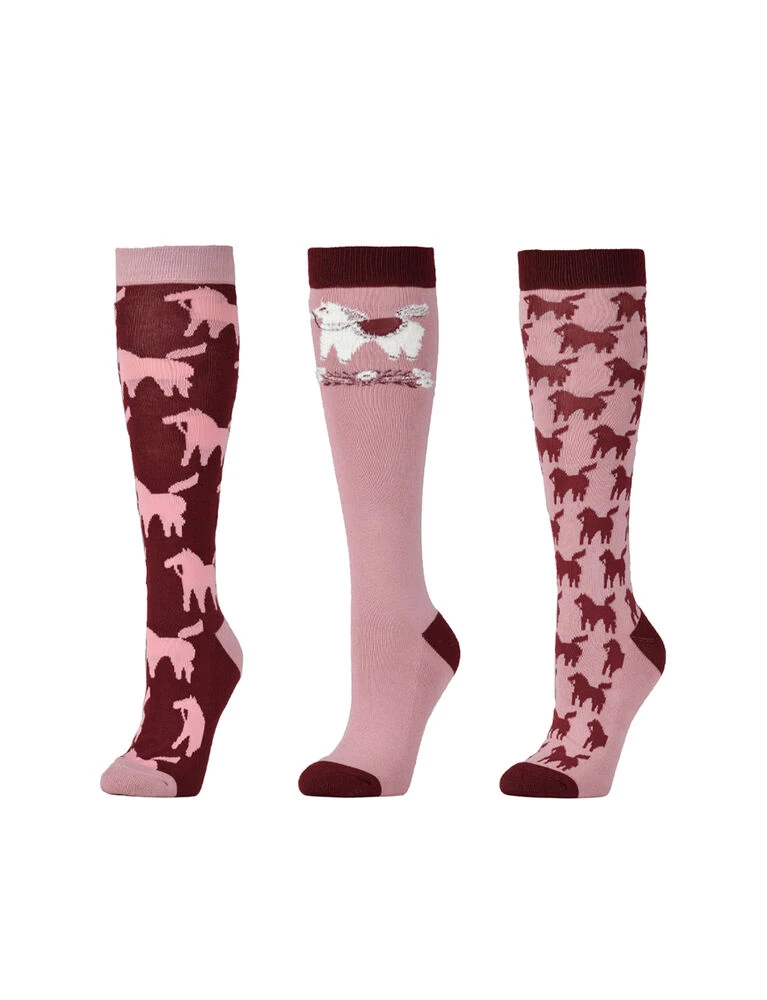 DUBLIN 3 Pack Socks