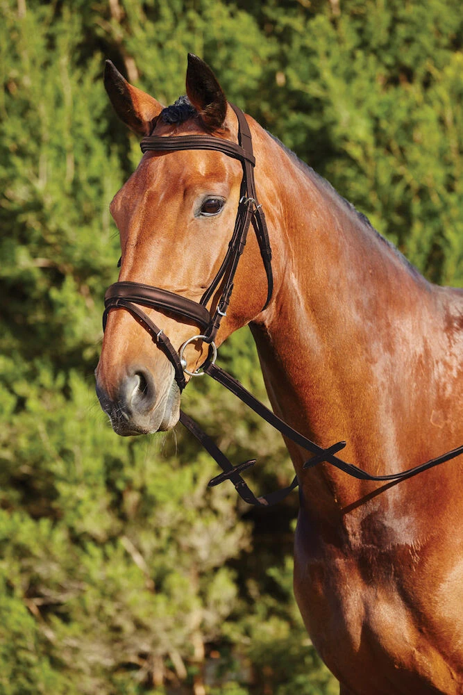 KINCADE Soft Padded Headpiece Flash Bridle