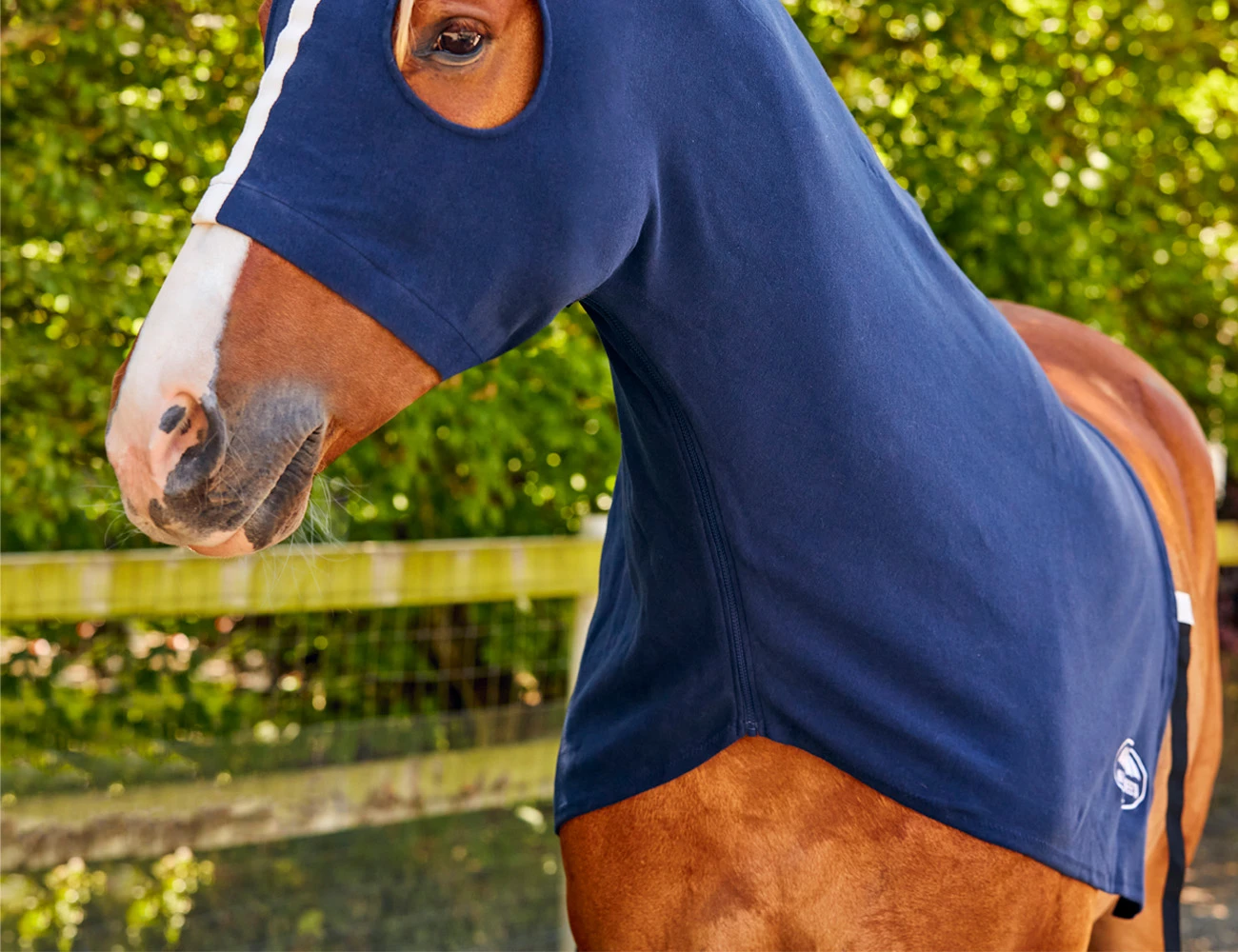 WEATHERBEETA Cotton Stretch Hood With Zip