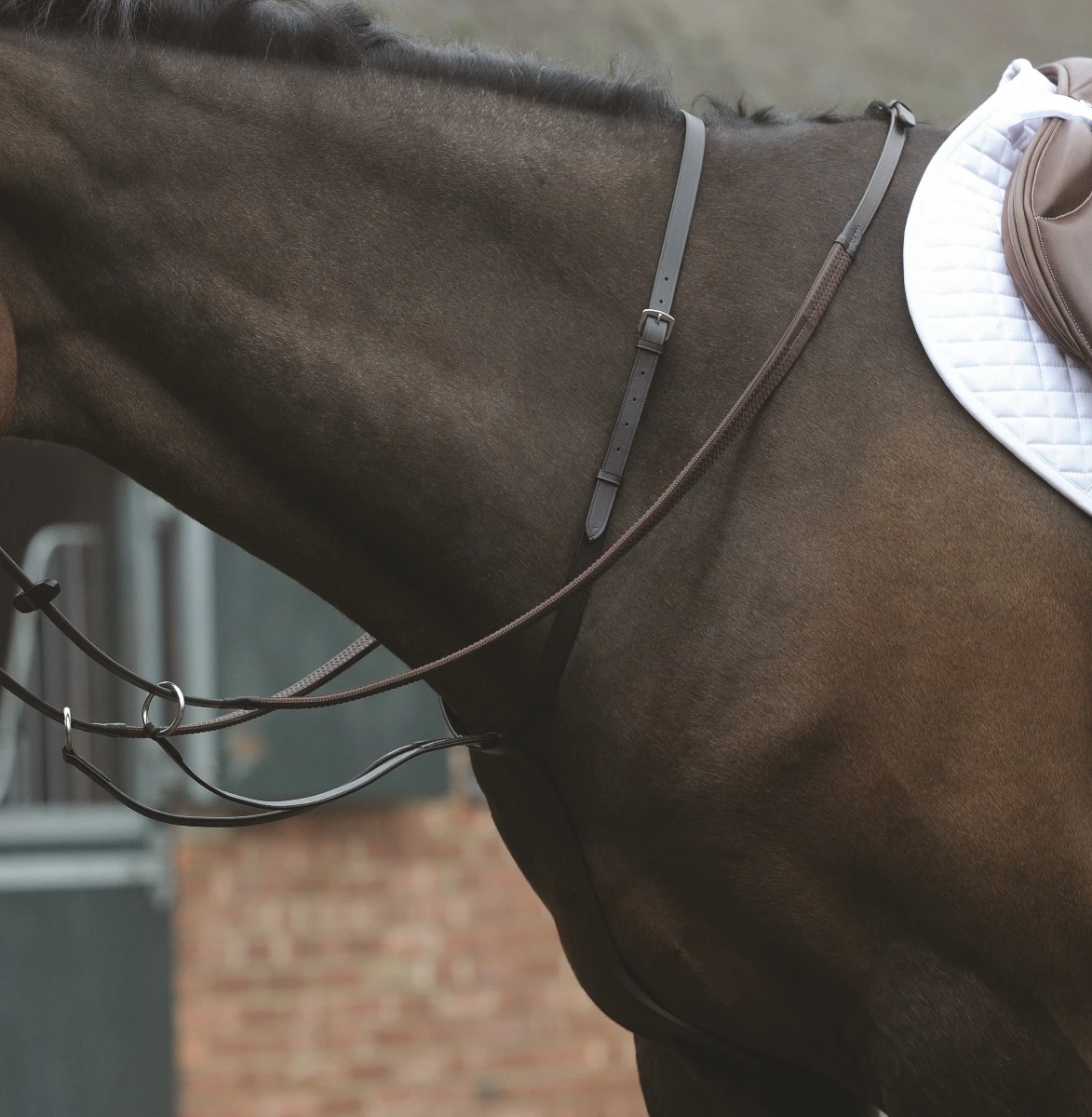 KINCADE Running Martingale