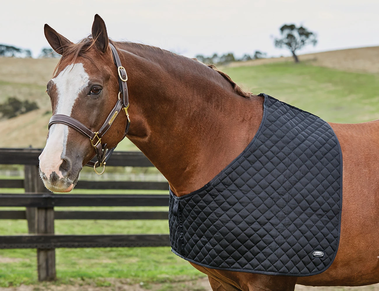 WEATHERBEETA Deluxe Shoulder Guard