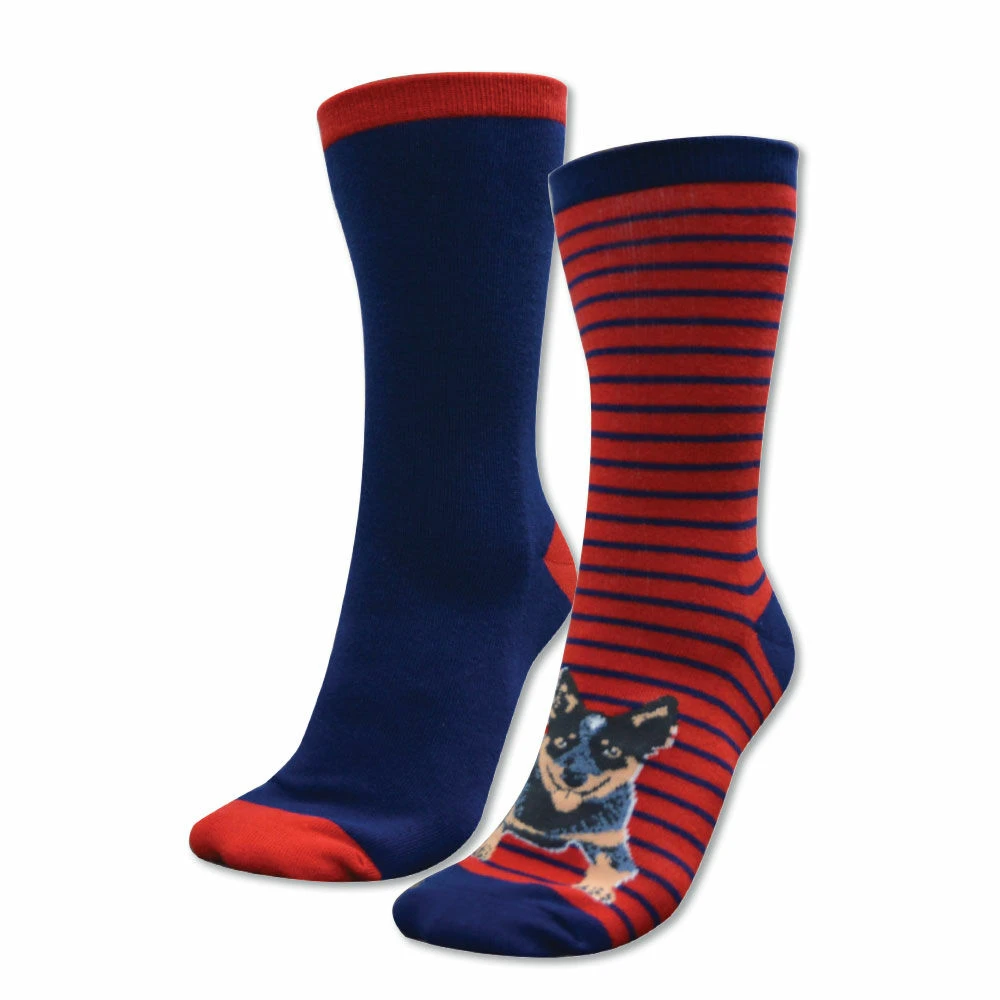 THOMAS COOK Homestead Adults Twin Pack Socks