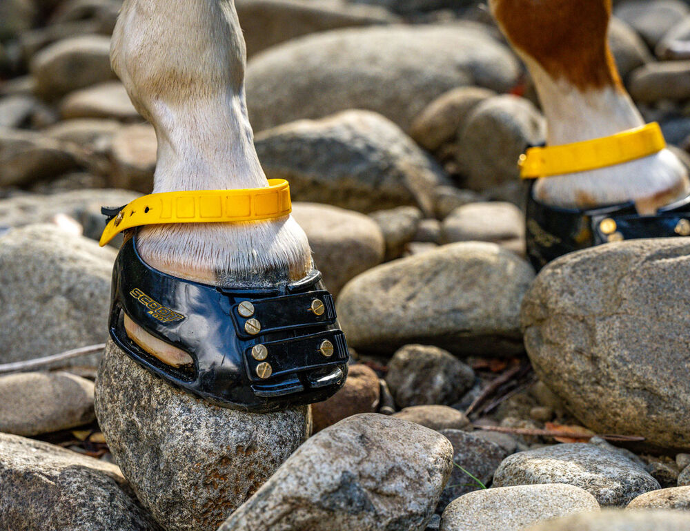 SCOOT BOOTS Scoot Boot Front Strap