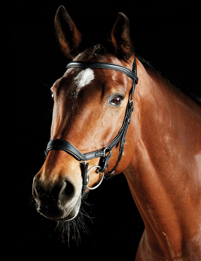COLLEGIATE ComFiTec Daina Bridle
