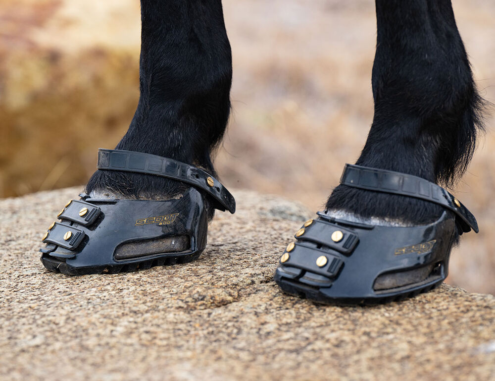 SCOOT BOOTS Scoot Boot Pastern Strap