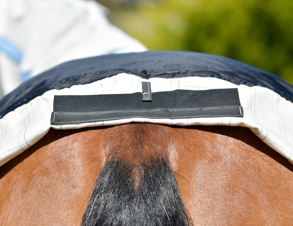 WEATHERBEETA Cotton Summer Sheet Combo Neck Scrunch Neck