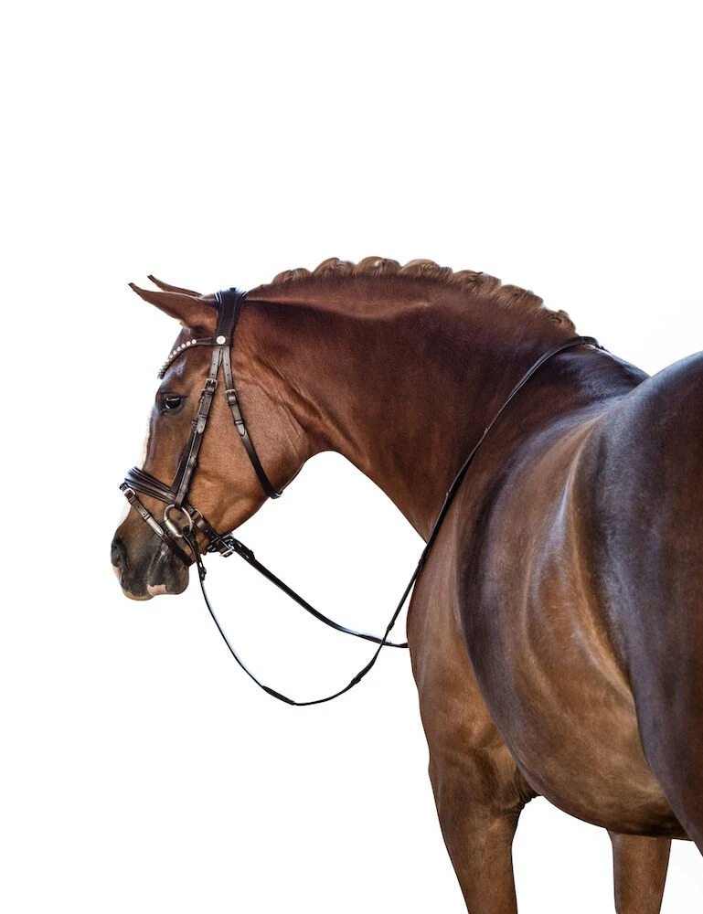 LARA TWEEDIE Essential Pony Bridle With Flash