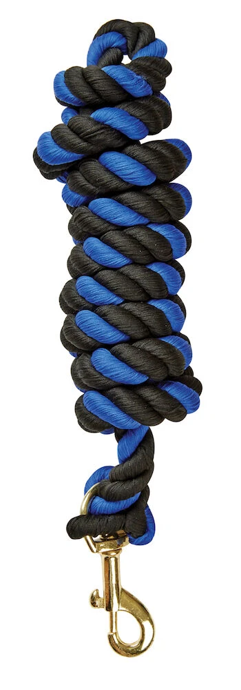 SAXON Two Tone Lead