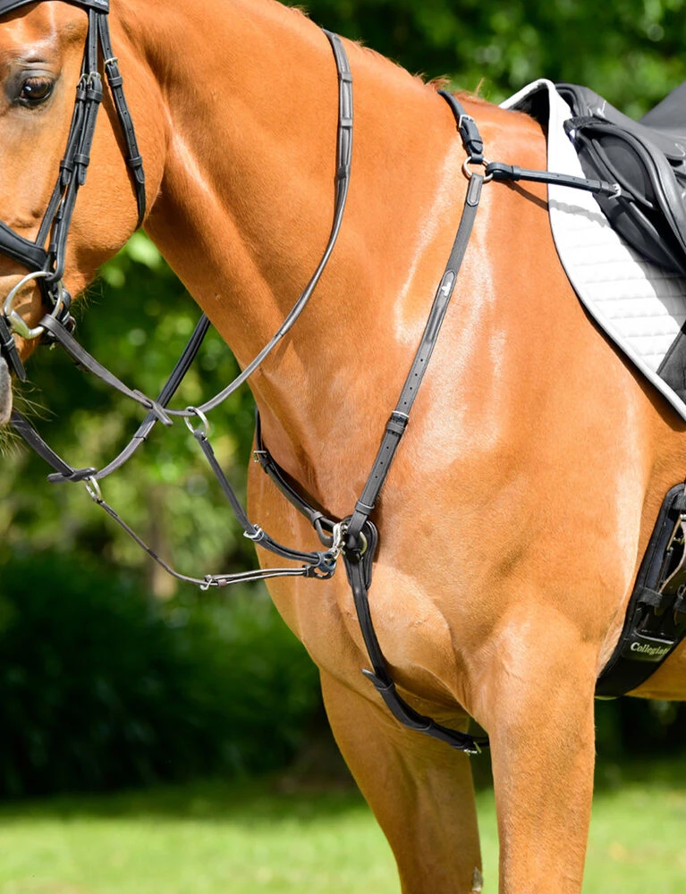 COLLEGIATE ComFiTec Opulux 3-Point Padded Raised Breastplate With Running Attachment