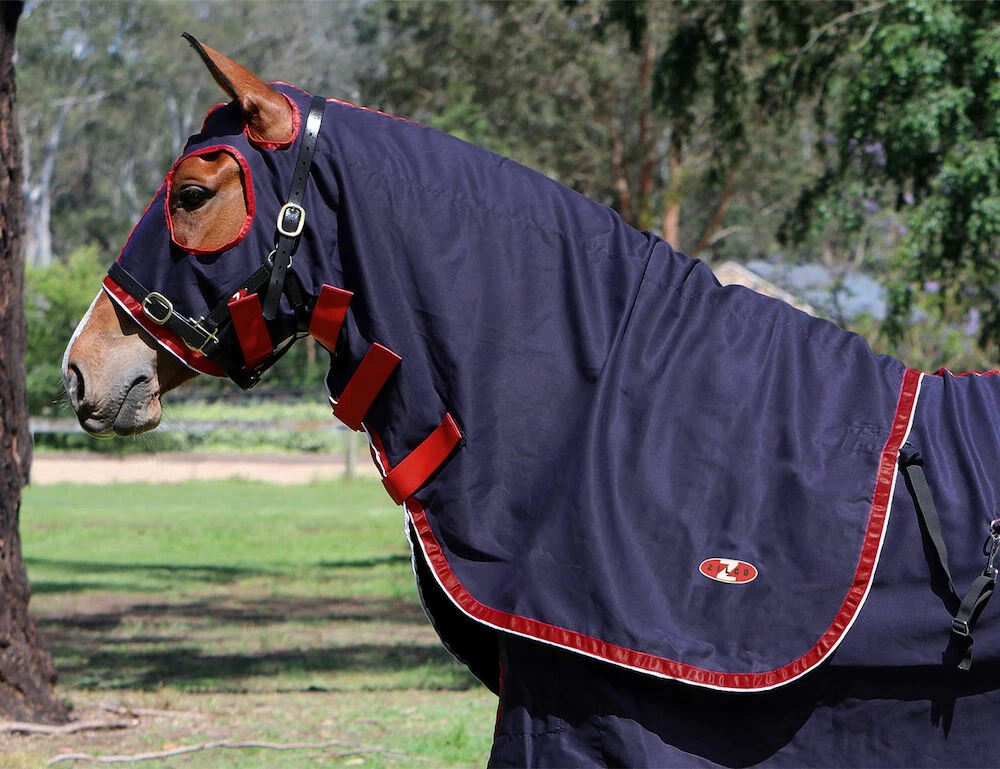 ZILCO Show Circuit Cotton Hood
