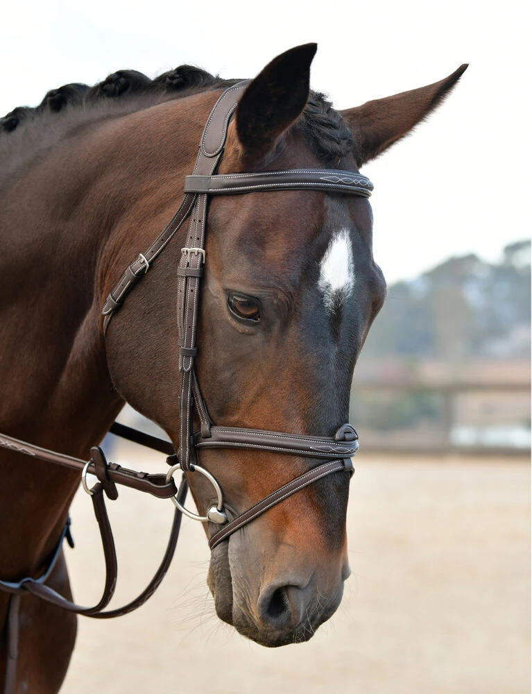 COLLEGIATE ComFiTec Opulux Fancy Stitch Padded Hanoverian Bridle