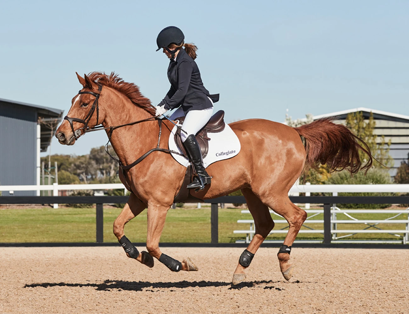 COLLEGIATE Astute Close Contact Saddle