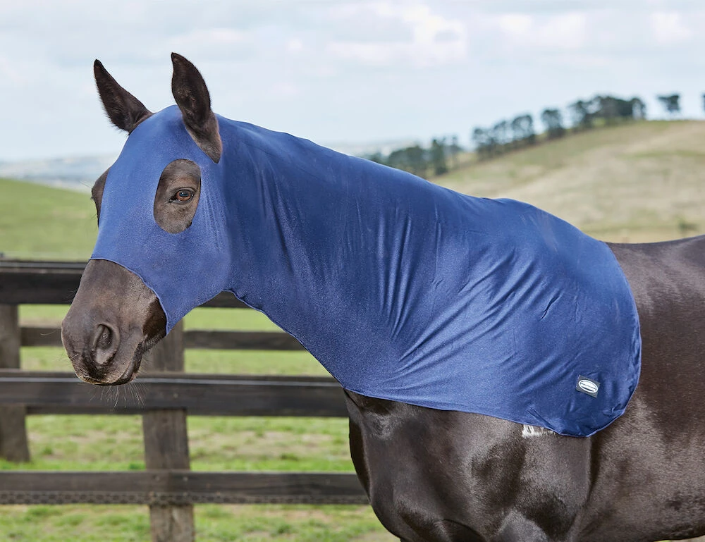 WEATHERBEETA Stretch Hood