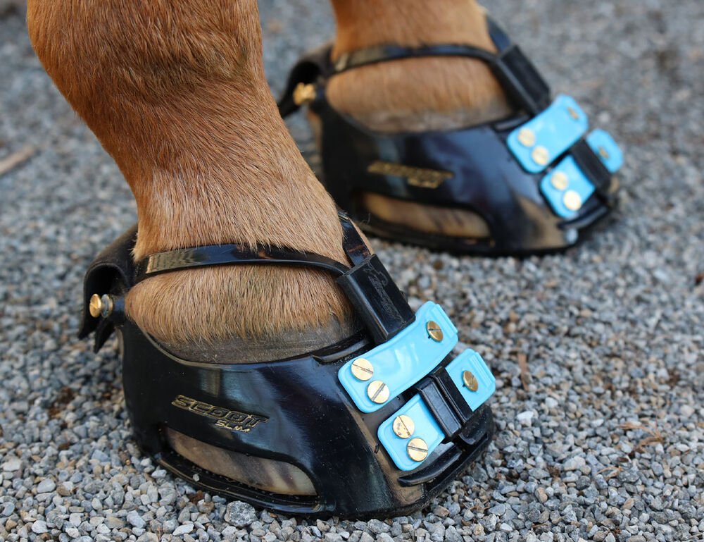 SCOOT BOOTS Scoot Boot Scoot Mud Strap