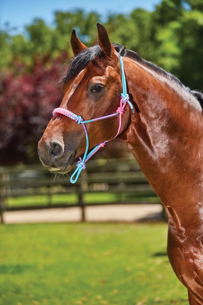 ROMA Mermaid Rope Headcollar With Braided Nose