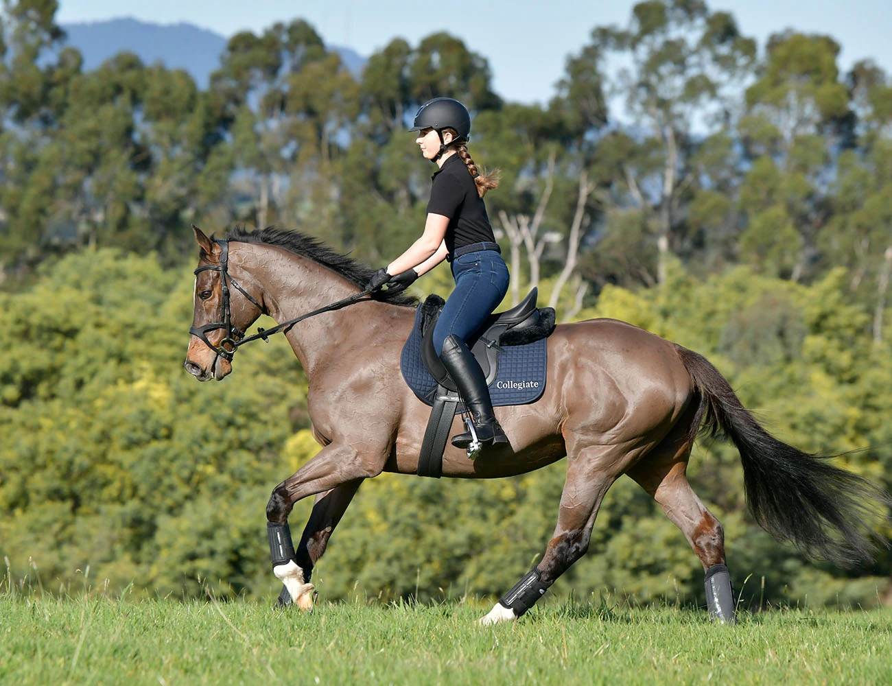COLLEGIATE Syntovia+ Osberton All Purpose Saddle
