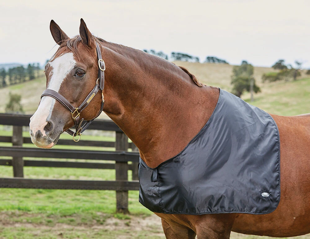 WEATHERBEETA Satin Shoulder Guard