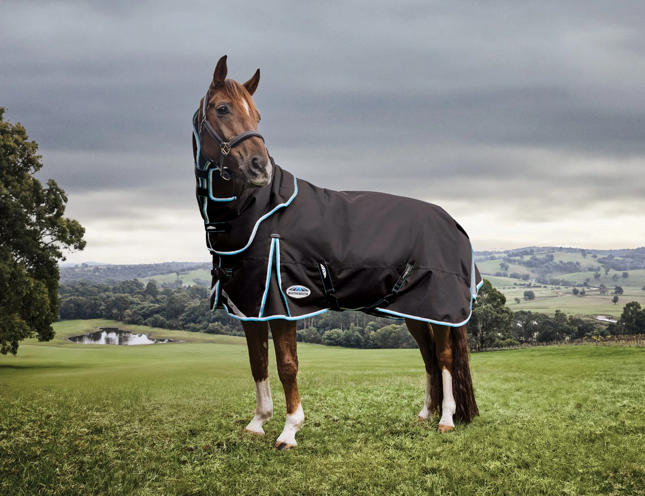 WEATHERBEETA ComFiTec Ultra Hardi Detach-A-Neck Medium