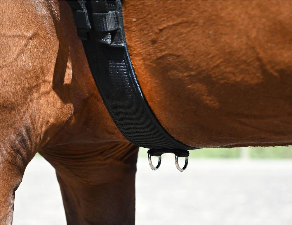 KINCADE Lunge Roller With Fleece Padding